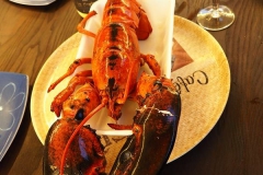 2.5kg de homard